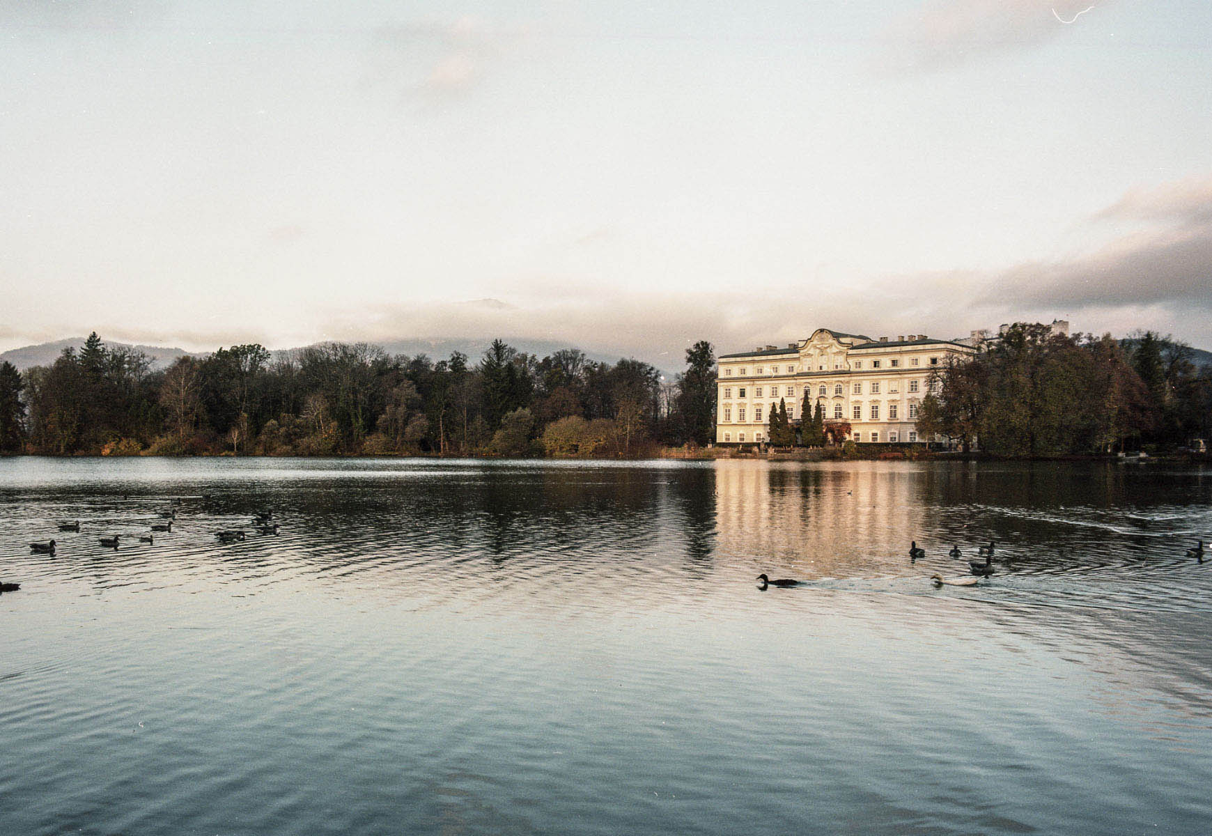 davidrobinsonphoto.com